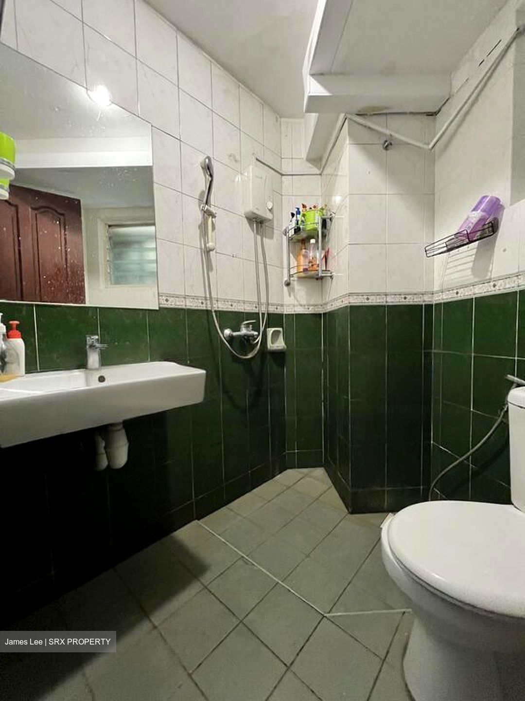 Melville Park (D18), Condominium #465423321